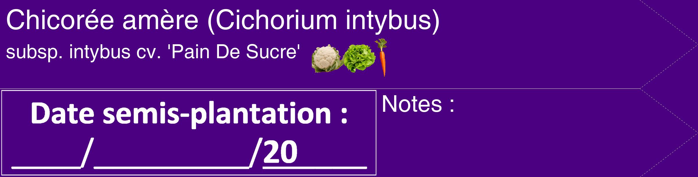Étiquette de : Cichorium intybus subsp. intybus cv. 'Pain De Sucre' - format c - style blanche47_simple_simplehel avec comestibilité simplifiée