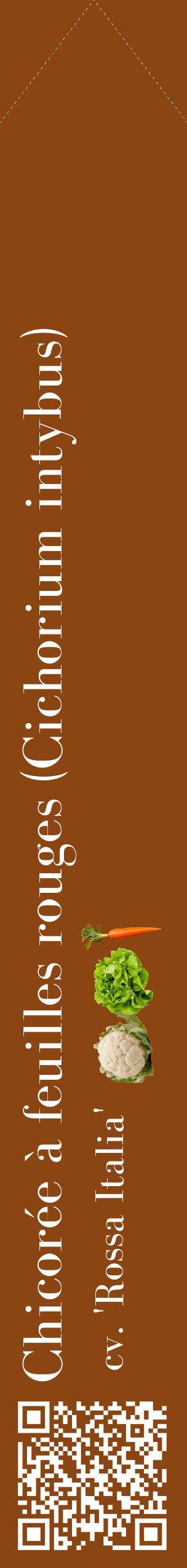 Étiquette de : Cichorium intybus cv. 'Rossa Italia' - format c - style blanche30_simplebod avec qrcode et comestibilité simplifiée