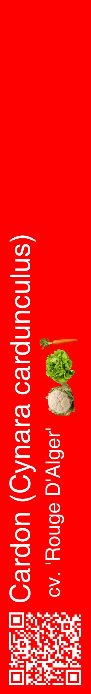 Étiquette de : Cynara cardunculus cv. 'Rouge D'Alger' - format c - style blanche27_basiquehel avec qrcode et comestibilité simplifiée