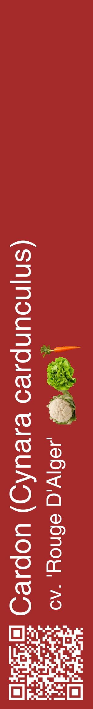 Étiquette de : Cynara cardunculus cv. 'Rouge D'Alger' - format c - style blanche33_basiquehel avec qrcode et comestibilité simplifiée