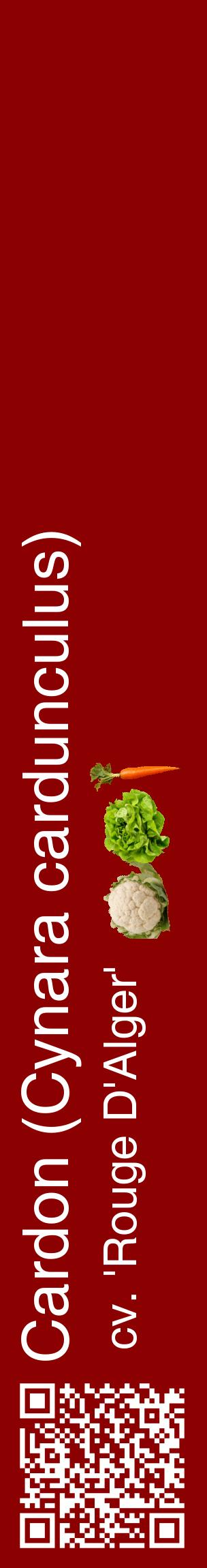 Étiquette de : Cynara cardunculus cv. 'Rouge D'Alger' - format c - style blanche34_basiquehel avec qrcode et comestibilité simplifiée
