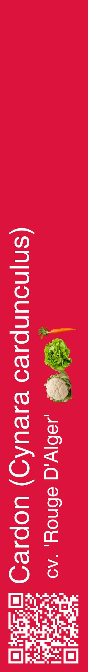 Étiquette de : Cynara cardunculus cv. 'Rouge D'Alger' - format c - style blanche36_basiquehel avec qrcode et comestibilité simplifiée