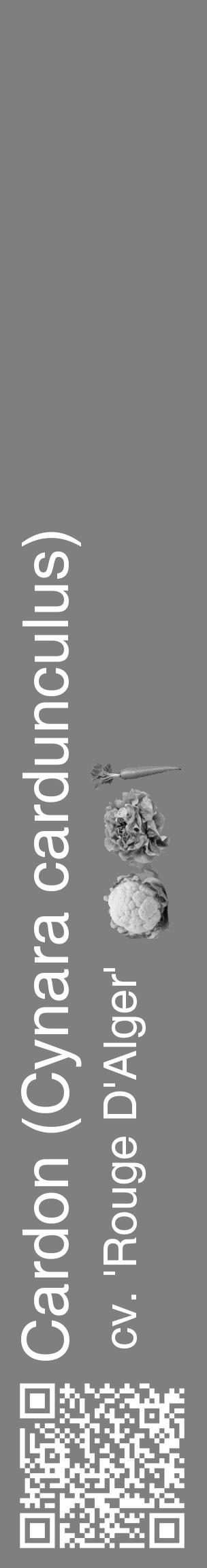Étiquette de : Cynara cardunculus cv. 'Rouge D'Alger' - format c - style blanche57_basique_basiquehel avec qrcode et comestibilité simplifiée - position verticale