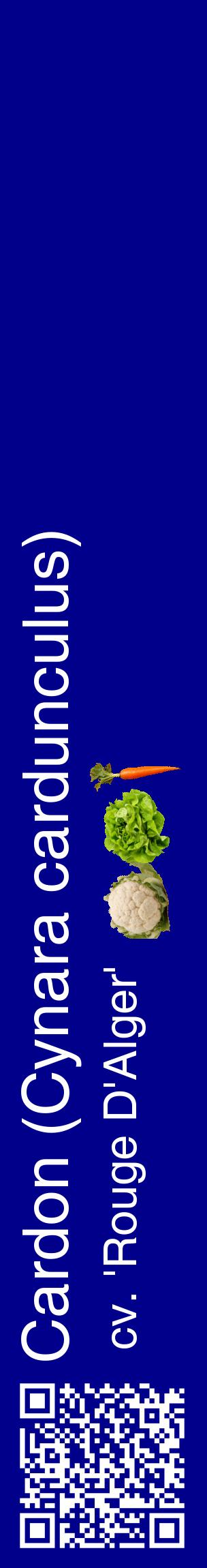Étiquette de : Cynara cardunculus cv. 'Rouge D'Alger' - format c - style blanche7_basiquehel avec qrcode et comestibilité simplifiée