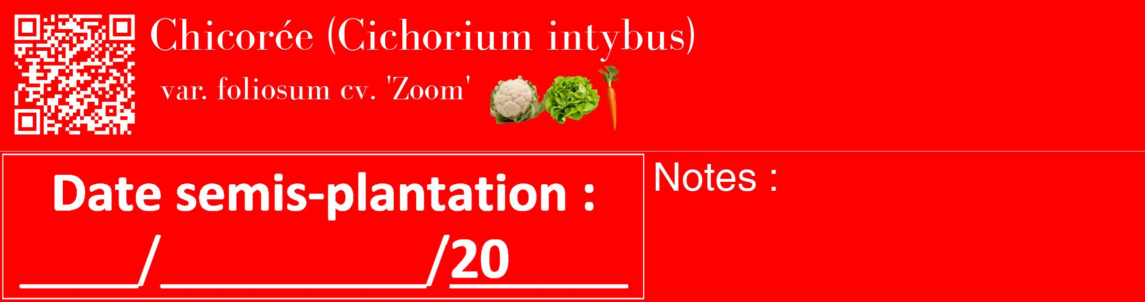 Étiquette de : Cichorium intybus var. foliosum cv. 'Zoom' - format c - style blanche27_basique_basiquebod avec qrcode et comestibilité simplifiée