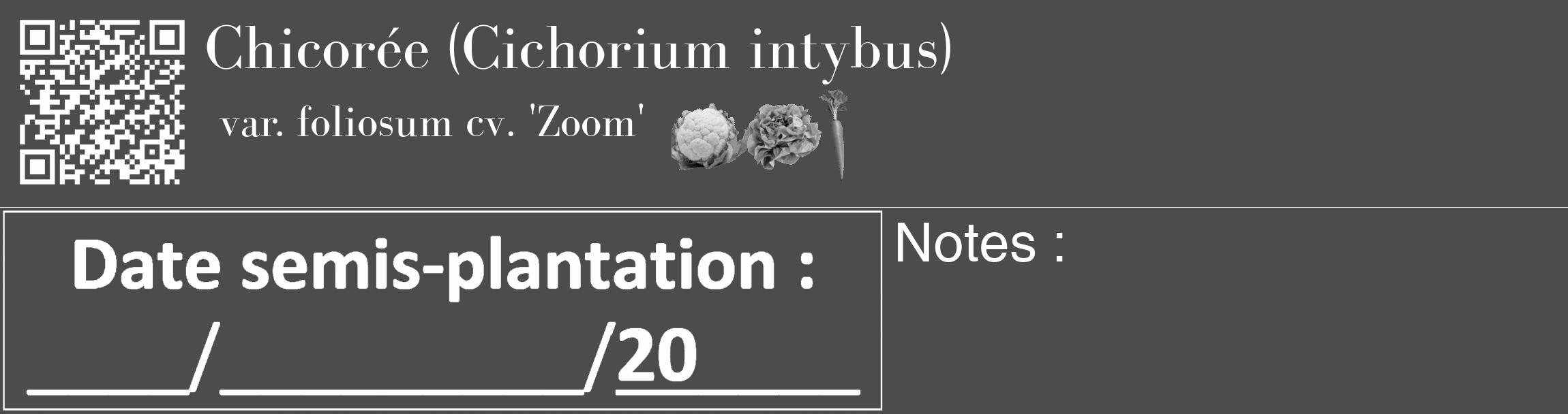 Étiquette de : Cichorium intybus var. foliosum cv. 'Zoom' - format c - style blanche27_basique_basiquebod avec qrcode et comestibilité simplifiée