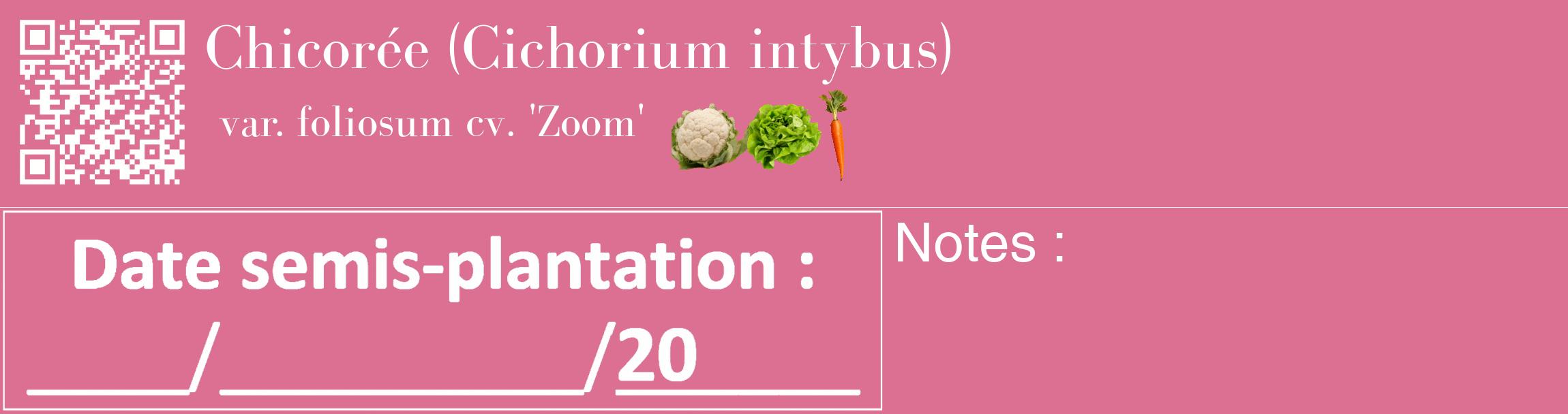 Étiquette de : Cichorium intybus var. foliosum cv. 'Zoom' - format c - style blanche44_basique_basiquebod avec qrcode et comestibilité simplifiée