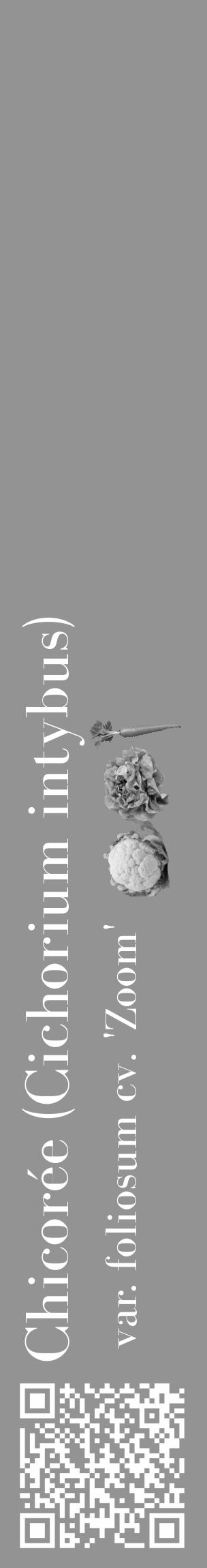 Étiquette de : Cichorium intybus var. foliosum cv. 'Zoom' - format c - style blanche44_basique_basiquebod avec qrcode et comestibilité simplifiée - position verticale