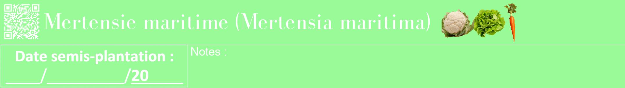 Étiquette de : Mertensia maritima - format a - style blanche14bod avec qrcode et comestibilité simplifiée