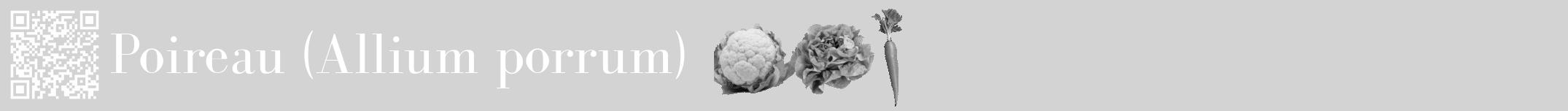 Étiquette de : Allium porrum - format a - style blanche56bod avec qrcode et comestibilité simplifiée