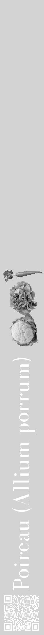 Étiquette de : Allium porrum - format a - style blanche56bod avec qrcode et comestibilité simplifiée - position verticale