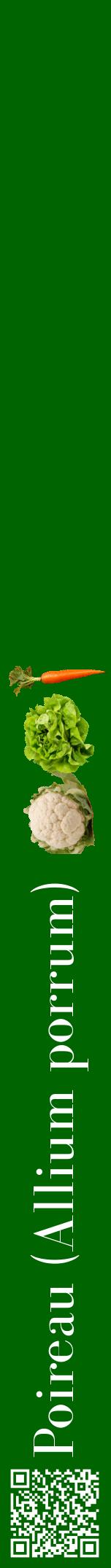 Étiquette de : Allium porrum - format a - style blanche8bod avec qrcode et comestibilité simplifiée