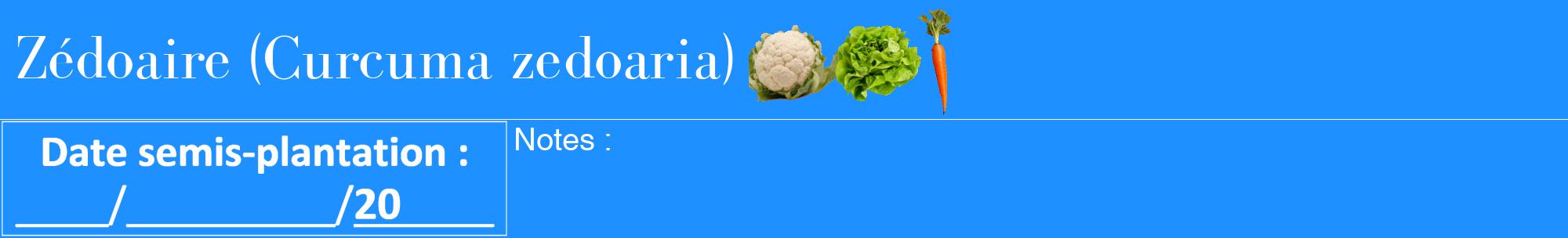 Étiquette de : Curcuma zedoaria - format a - style blanche3bod avec comestibilité simplifiée