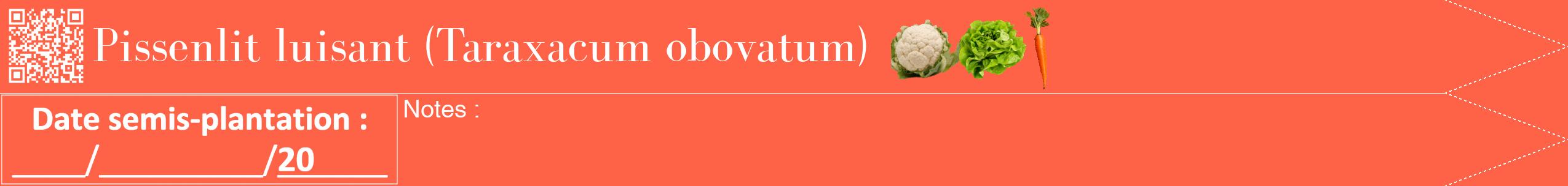 Étiquette de : Taraxacum obovatum - format b - style blanche25bod avec qrcode et comestibilité simplifiée