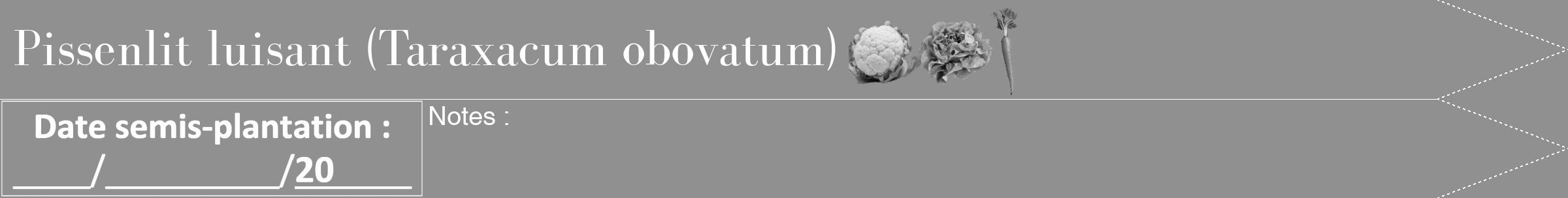 Étiquette de : Taraxacum obovatum - format b - style blanche4bod avec comestibilité simplifiée