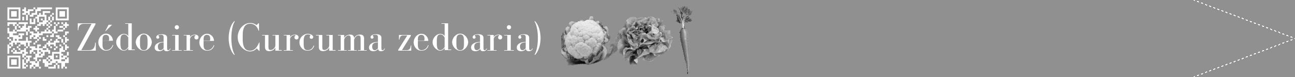 Étiquette de : Curcuma zedoaria - format b - style blanche4bod avec qrcode et comestibilité simplifiée