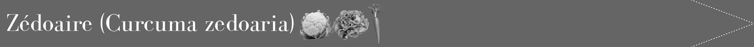Étiquette de : Curcuma zedoaria - format b - style blanche32bod avec comestibilité simplifiée