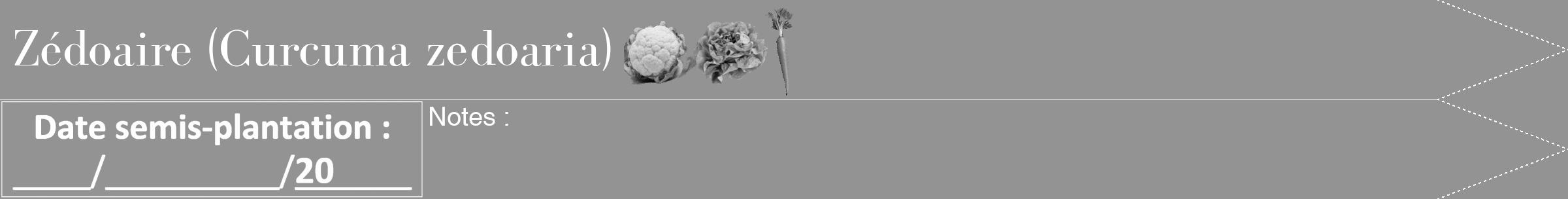 Étiquette de : Curcuma zedoaria - format b - style blanche44bod avec comestibilité simplifiée