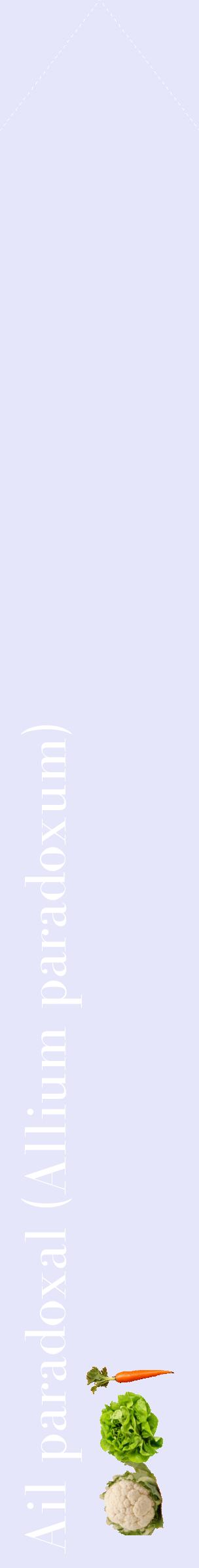 Étiquette de : Allium paradoxum - format c - style blanche55_simplebod avec comestibilité simplifiée