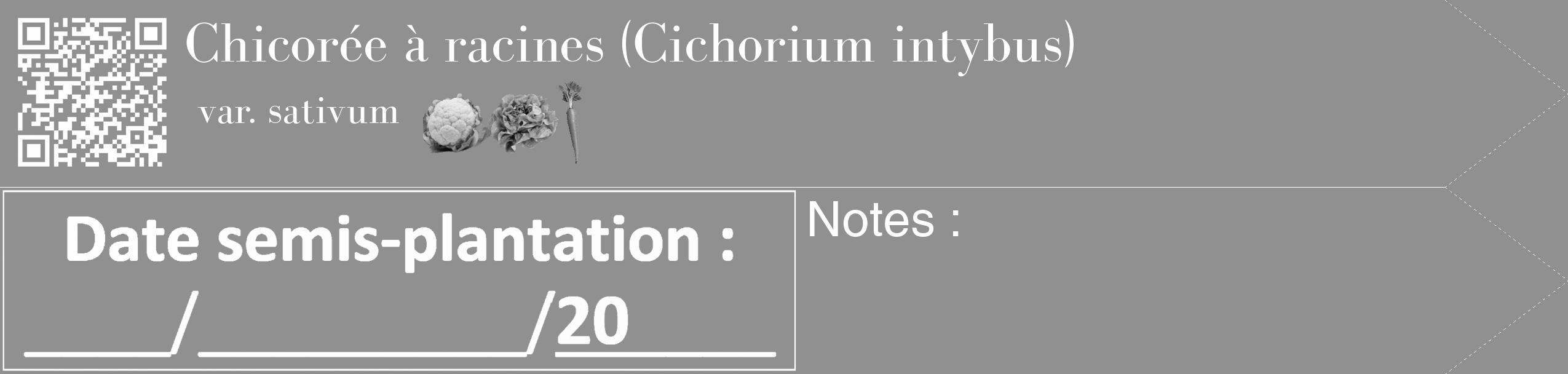 Étiquette de : Cichorium intybus var. sativum - format c - style blanche4_simple_simplebod avec qrcode et comestibilité simplifiée