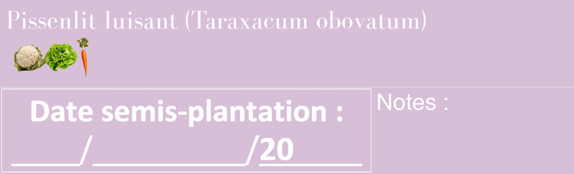 Étiquette de : Taraxacum obovatum - format c - style blanche54_basique_basiquebod avec comestibilité simplifiée