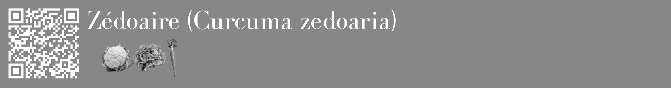 Étiquette de : Curcuma zedoaria - format c - style blanche12_basique_basiquebod avec qrcode et comestibilité simplifiée