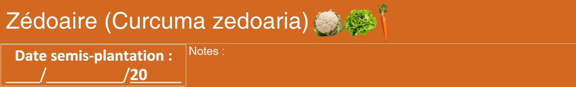 Étiquette de : Curcuma zedoaria - format a - style blanche31hel avec comestibilité simplifiée