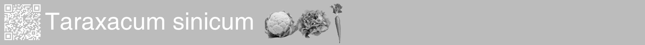 Étiquette de : Taraxacum sinicum - format a - style blanche1hel avec qrcode et comestibilité simplifiée