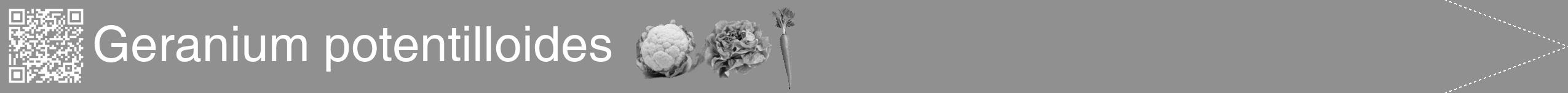 Étiquette de : Geranium potentilloides - format b - style blanche4hel avec qrcode et comestibilité simplifiée