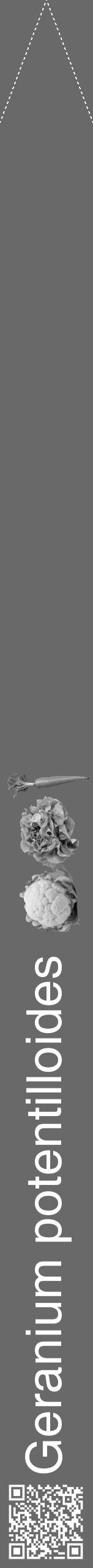 Étiquette de : Geranium potentilloides - format b - style blanche51hel avec qrcode et comestibilité simplifiée - position verticale