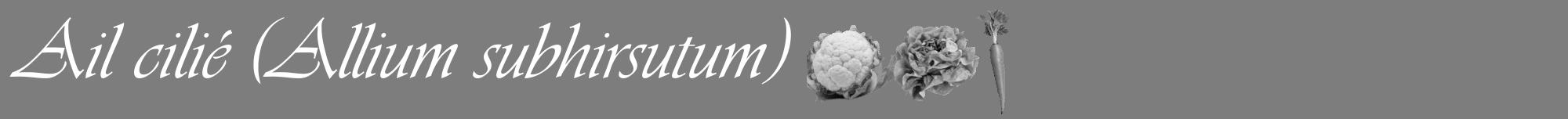 Étiquette de : Allium subhirsutum - format a - style blanche35viv avec comestibilité simplifiée