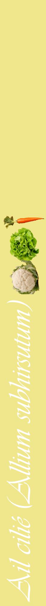 Étiquette de : Allium subhirsutum - format a - style blanche20viv avec comestibilité simplifiée