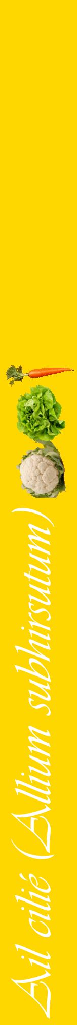 Étiquette de : Allium subhirsutum - format a - style blanche21viv avec comestibilité simplifiée