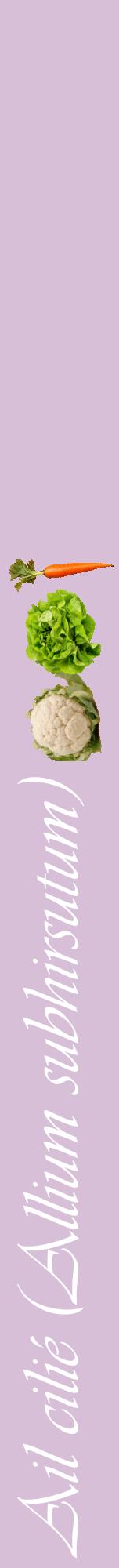 Étiquette de : Allium subhirsutum - format a - style blanche54viv avec comestibilité simplifiée