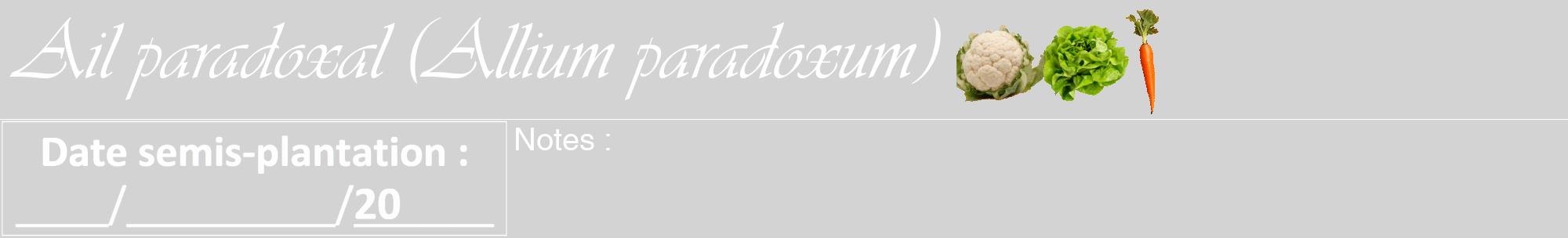 Étiquette de : Allium paradoxum - format a - style blanche56viv avec comestibilité simplifiée