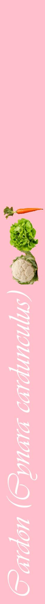 Étiquette de : Cynara cardunculus - format a - style blanche40viv avec comestibilité simplifiée