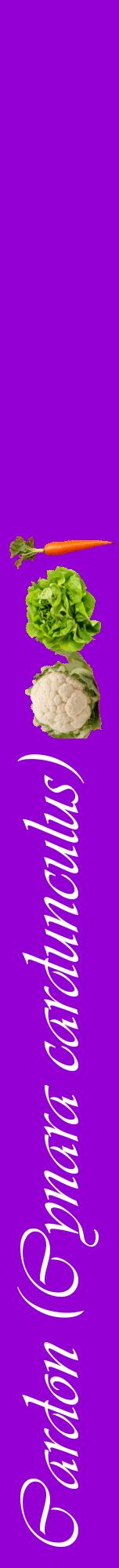 Étiquette de : Cynara cardunculus - format a - style blanche48viv avec comestibilité simplifiée