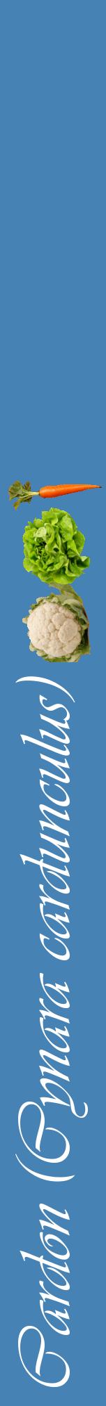 Étiquette de : Cynara cardunculus - format a - style blanche5viv avec comestibilité simplifiée
