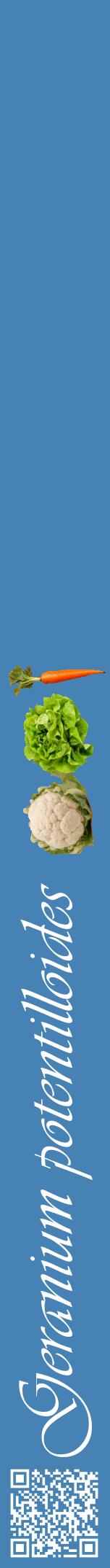 Étiquette de : Geranium potentilloides - format a - style blanche5viv avec qrcode et comestibilité simplifiée