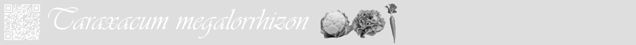 Étiquette de : Taraxacum megalorrhizon - format a - style blanche20basiqueviv avec qrcode et comestibilité simplifiée