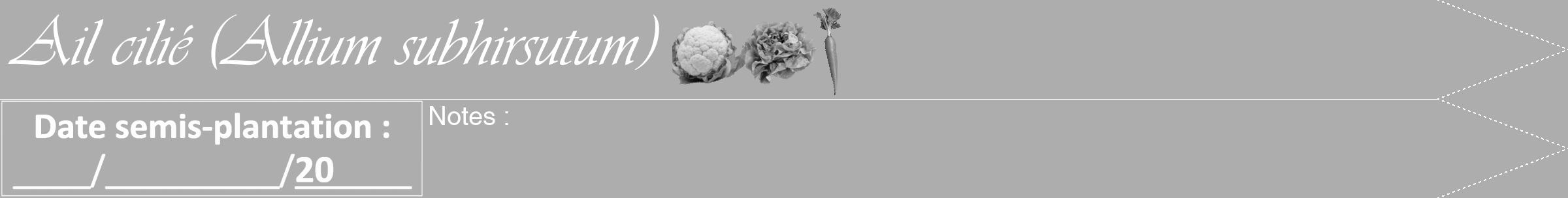 Étiquette de : Allium subhirsutum - format b - style blanche22simpleviv avec comestibilité simplifiée