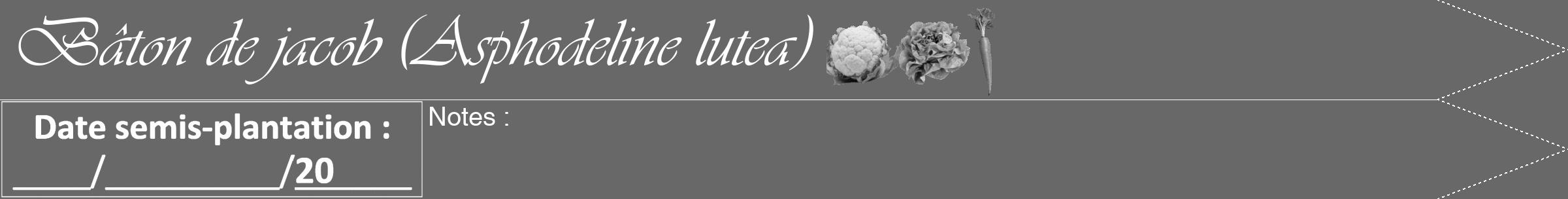 Étiquette de : Asphodeline lutea - format b - style blanche43viv avec comestibilité simplifiée