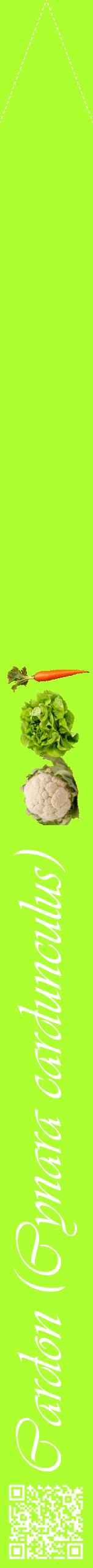 Étiquette de : Cynara cardunculus - format b - style blanche17viv avec qrcode et comestibilité simplifiée