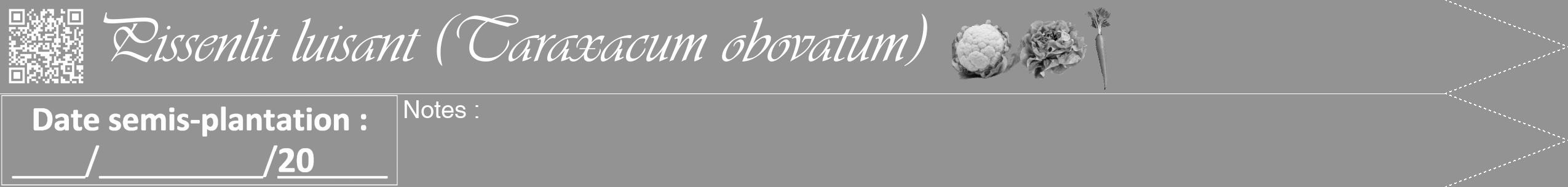 Étiquette de : Taraxacum obovatum - format b - style blanche44viv avec qrcode et comestibilité simplifiée