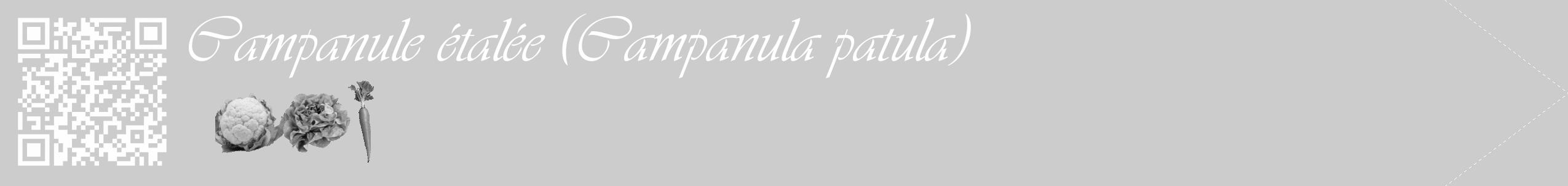 Étiquette de : Campanula patula - format c - style blanche0_simple_simpleviv avec qrcode et comestibilité simplifiée