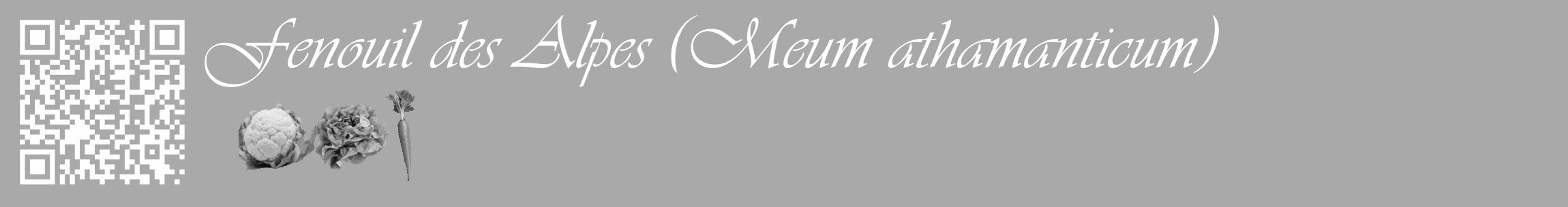 Étiquette de : Meum athamanticum - format c - style blanche13_basique_basiqueviv avec qrcode et comestibilité simplifiée