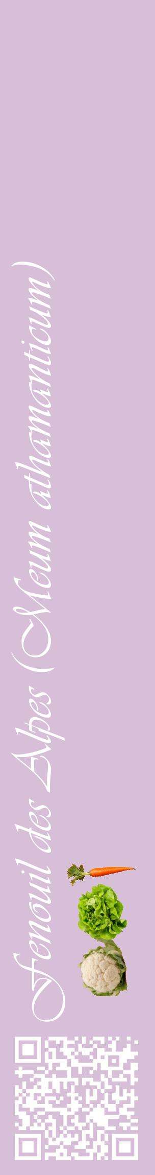 Étiquette de : Meum athamanticum - format c - style blanche54_basiqueviv avec qrcode et comestibilité simplifiée