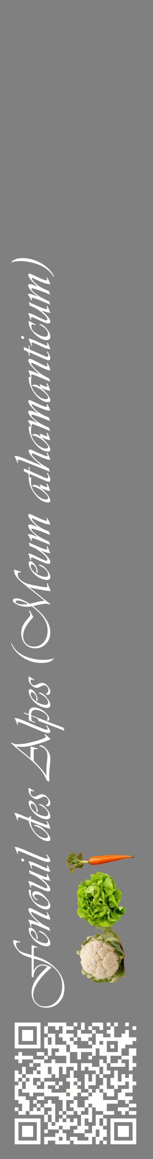 Étiquette de : Meum athamanticum - format c - style blanche57_basiqueviv avec qrcode et comestibilité simplifiée