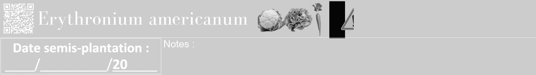 Étiquette de : Erythronium americanum - format a - style blanche0bod avec qrcode et comestibilité simplifiée