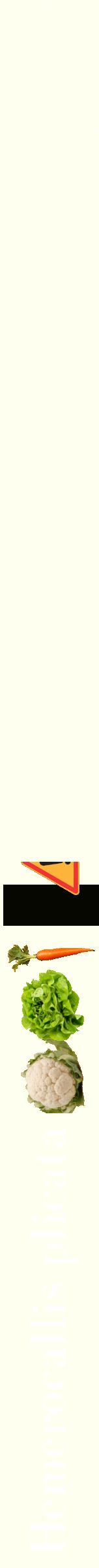 Étiquette de : Hemerocallis plicata - format b - style blanche19bod avec comestibilité simplifiée